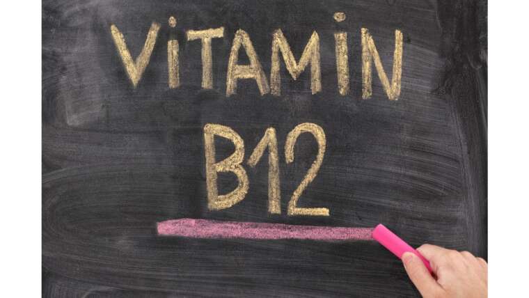 Ora pro nóbis tem vitamina B12? saiba tudo sobre a planta